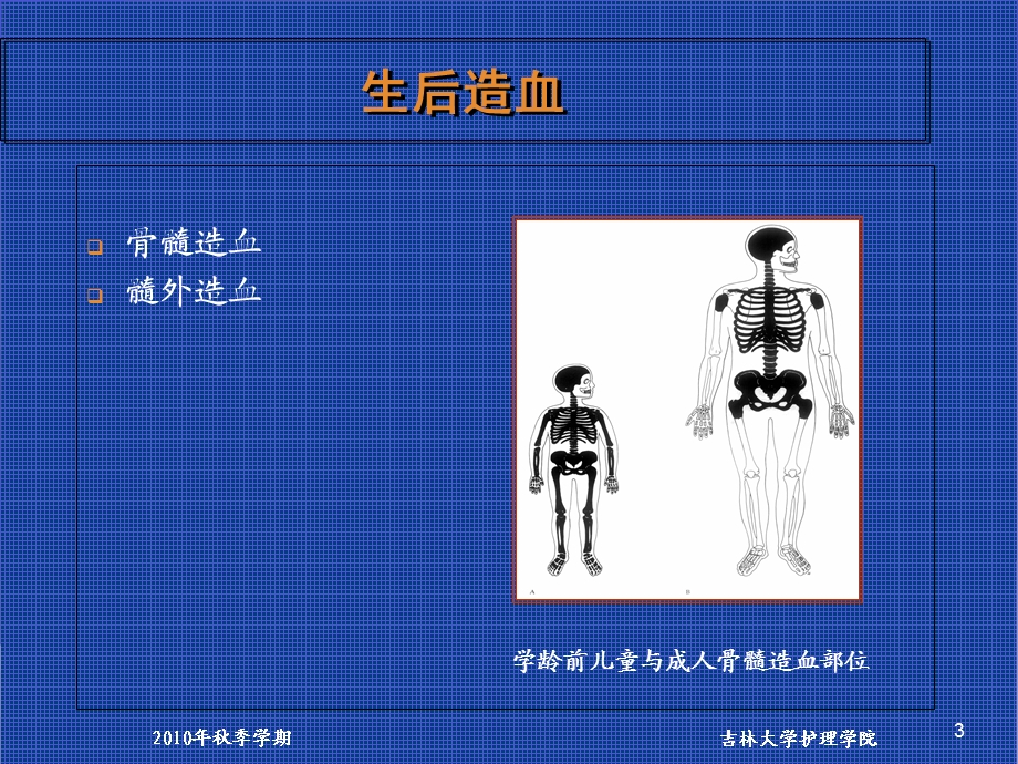 营养性缺铁性贫血患儿的护理.ppt_第3页