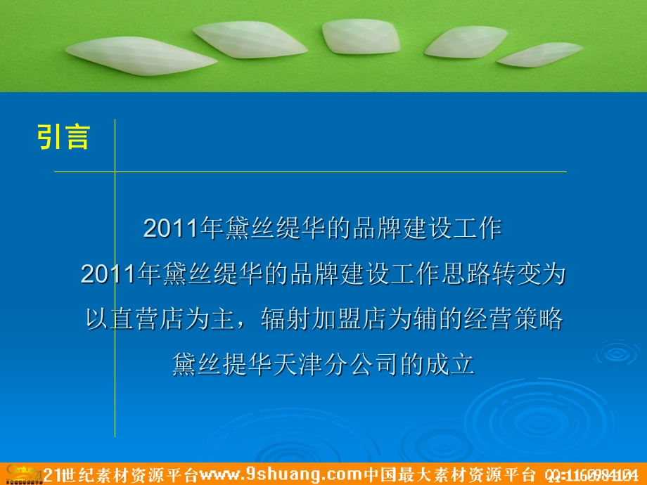 黛丝缇华品牌推广方案.ppt_第2页