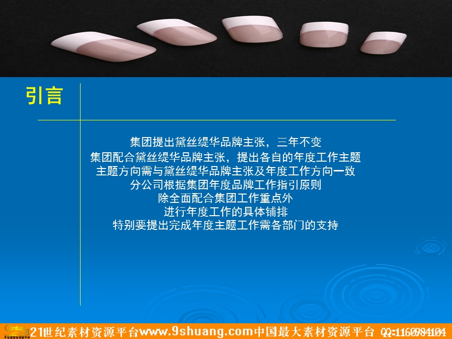 黛丝缇华品牌推广方案.ppt_第3页