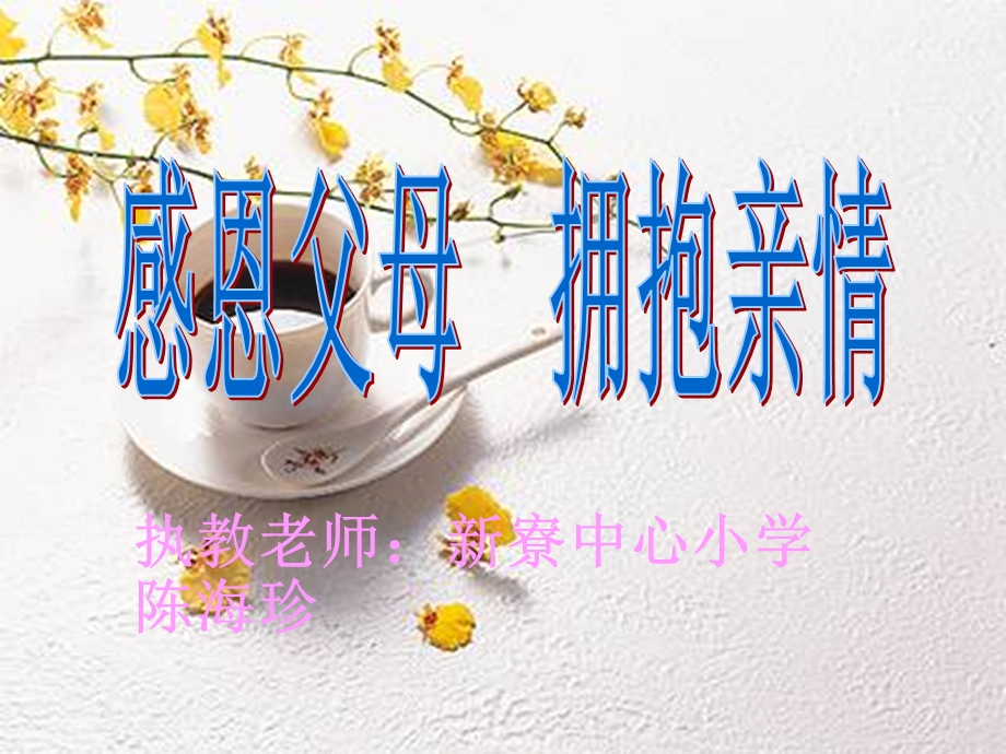 执教老师新寮中心小学陈海珍.ppt_第1页