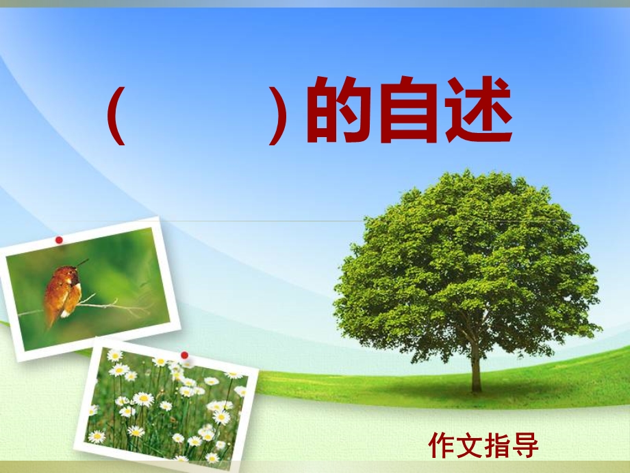 的自述作文指导.ppt_第1页