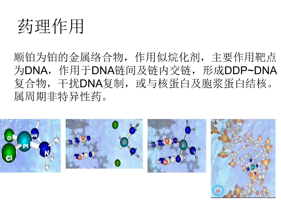 顺铂的治疗与应用.ppt_第2页