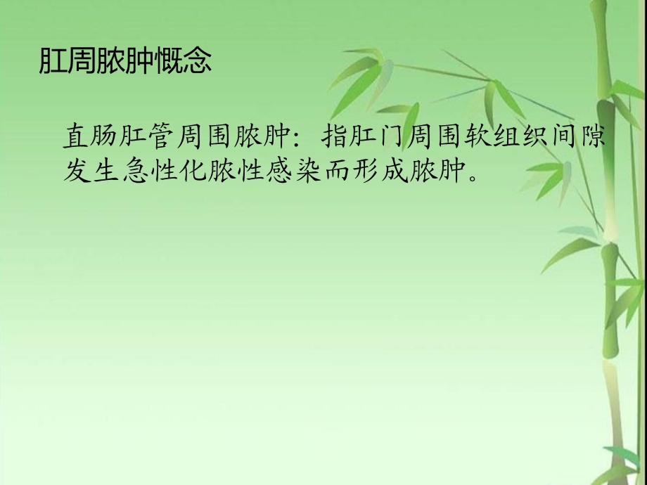 肛周脓肿的治疗及护理.ppt_第2页