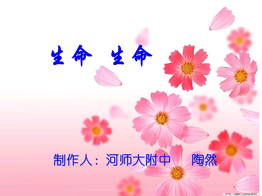 语文课件《生命 生命》课件.ppt_第1页