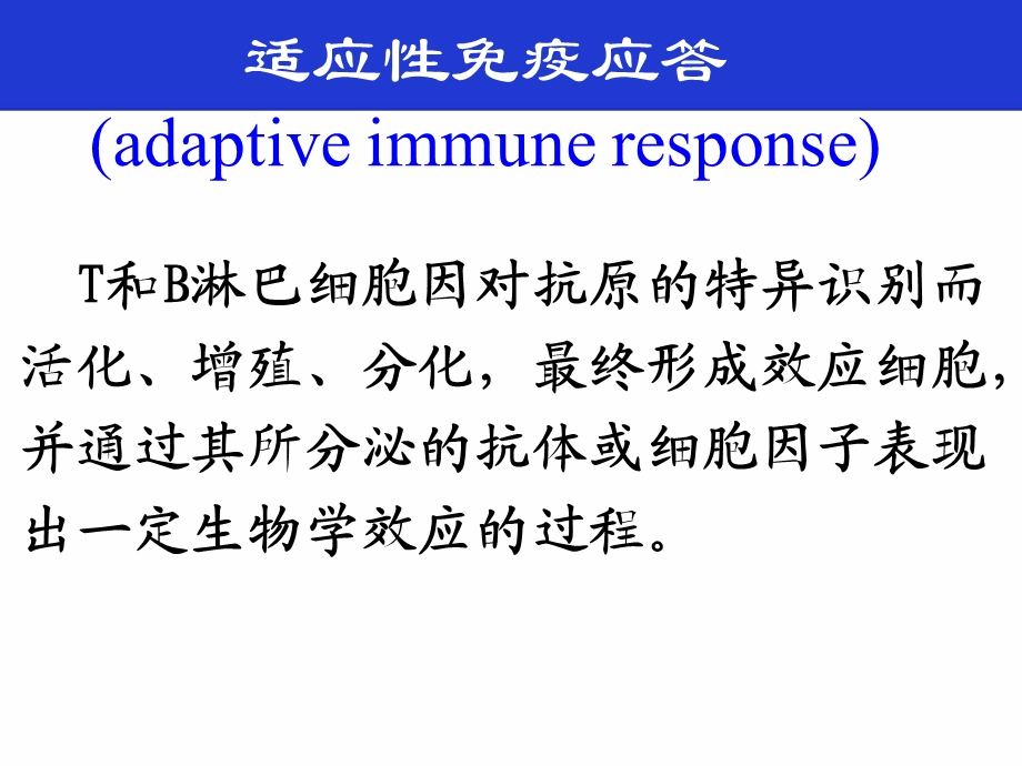 《医学免疫学教学资料》免疫应答讲义dh.ppt_第3页