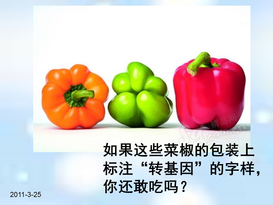 转基因生物的安全性最终.ppt_第1页