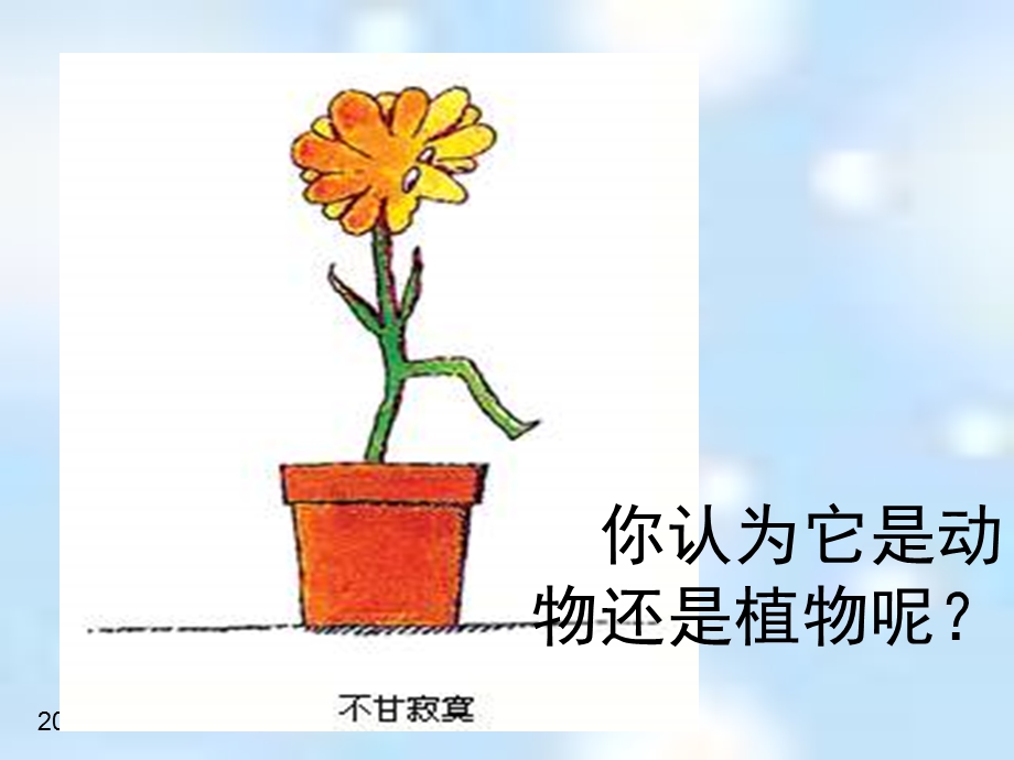 转基因生物的安全性最终.ppt_第3页