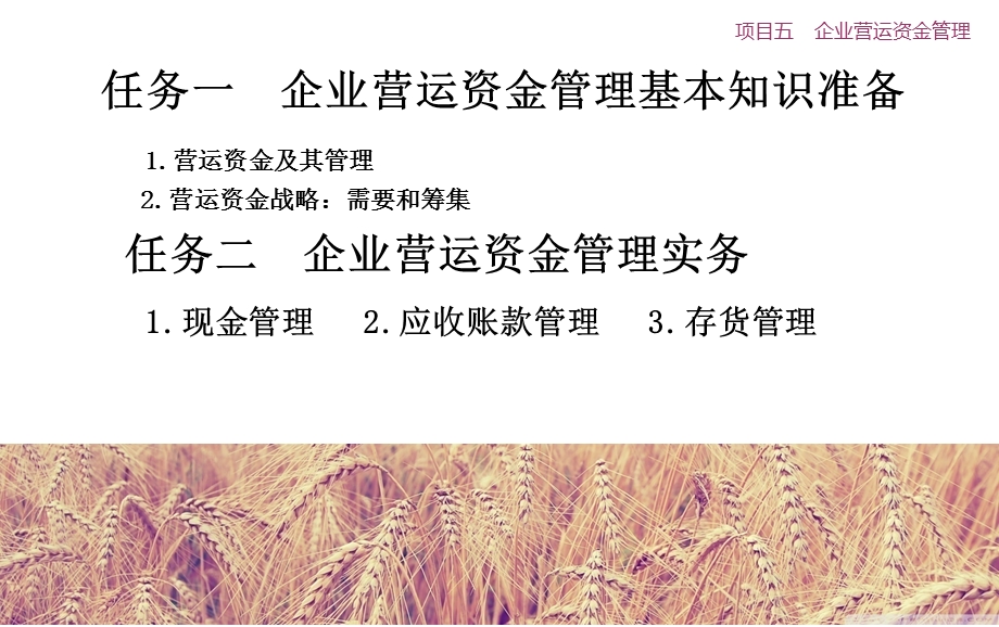 项目五企业营运资金管理.ppt_第2页