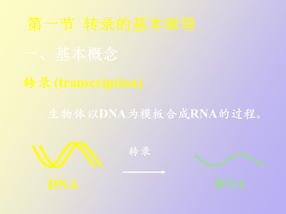 转录及转录后加工.ppt_第3页