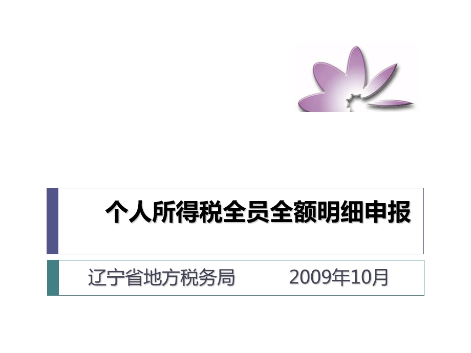 个人所得税全额明细申报.ppt_第1页