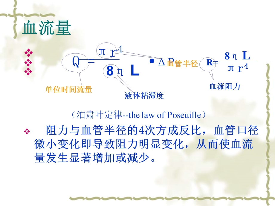 静脉血液流速与输液.ppt_第2页