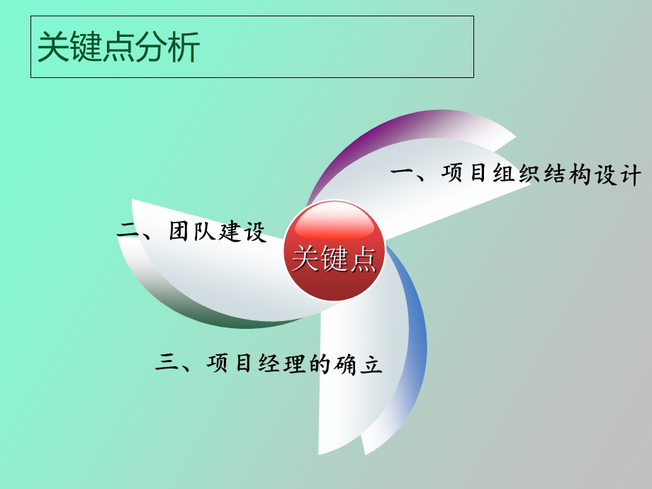 项目组织与团队管理.ppt_第2页