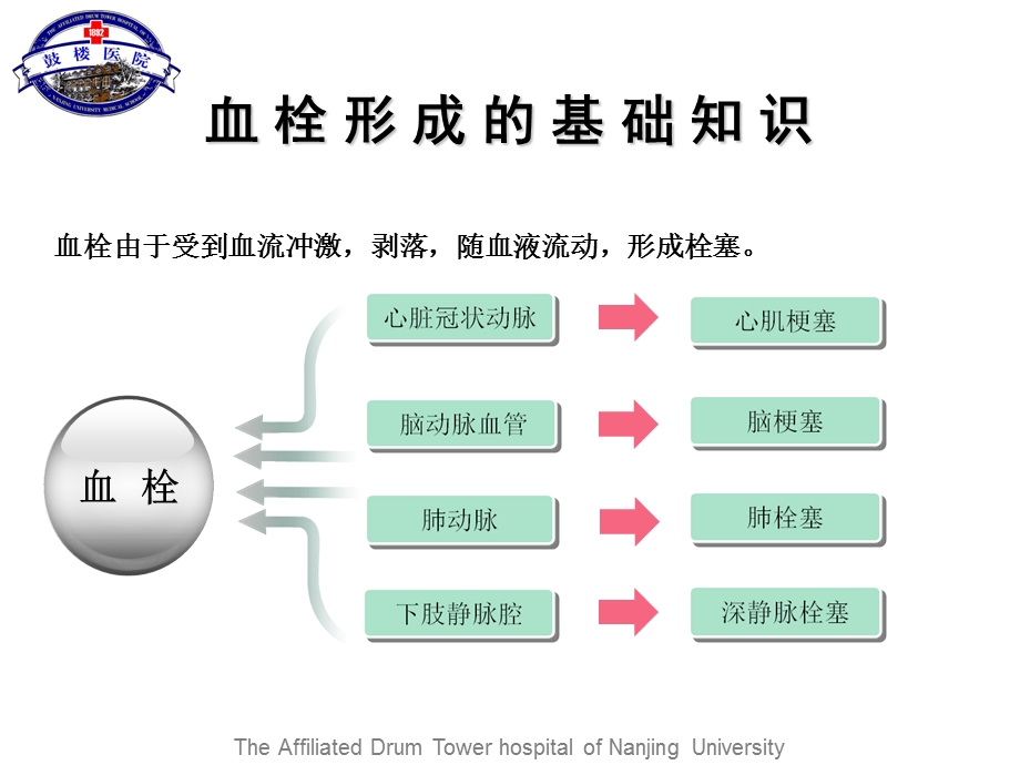 临床药师药师在门诊诊疗中的模式探讨.ppt_第3页