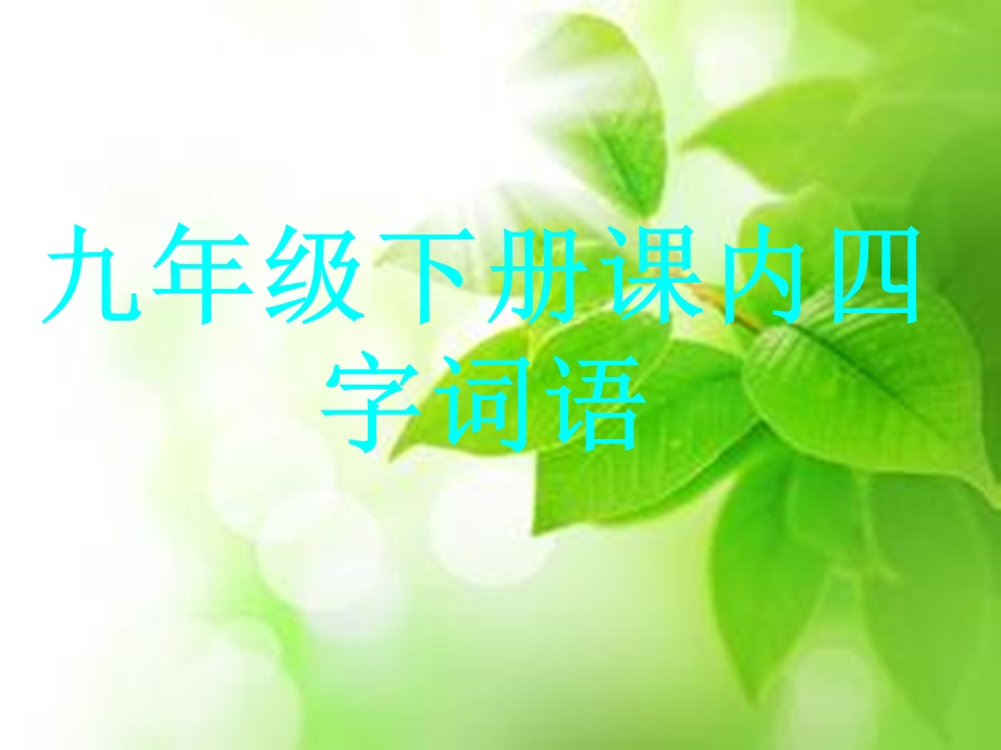 九年级下册课内四字词语.ppt_第1页