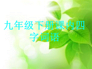 九年级下册课内四字词语.ppt