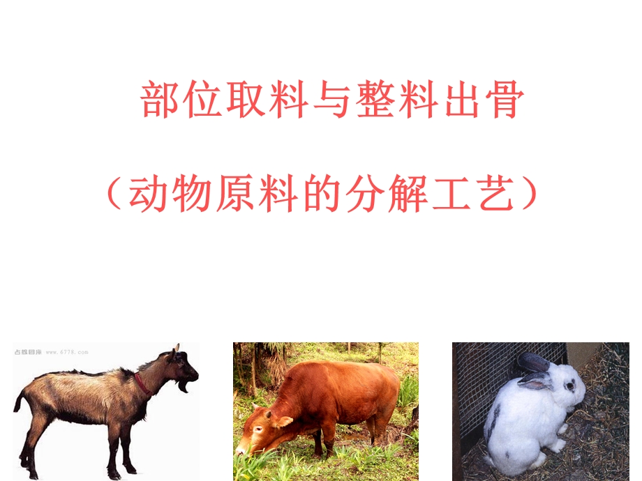 部位取料与整料出骨.ppt_第1页