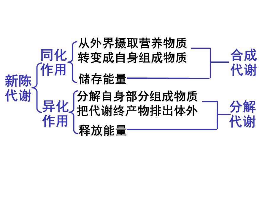 《高三生物复习资料》第6讲物质进出细胞的方式.ppt_第2页