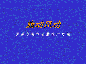 贝莱尔电气品牌推广方案.ppt