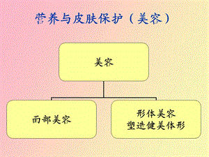 营养与皮肤的关系.ppt