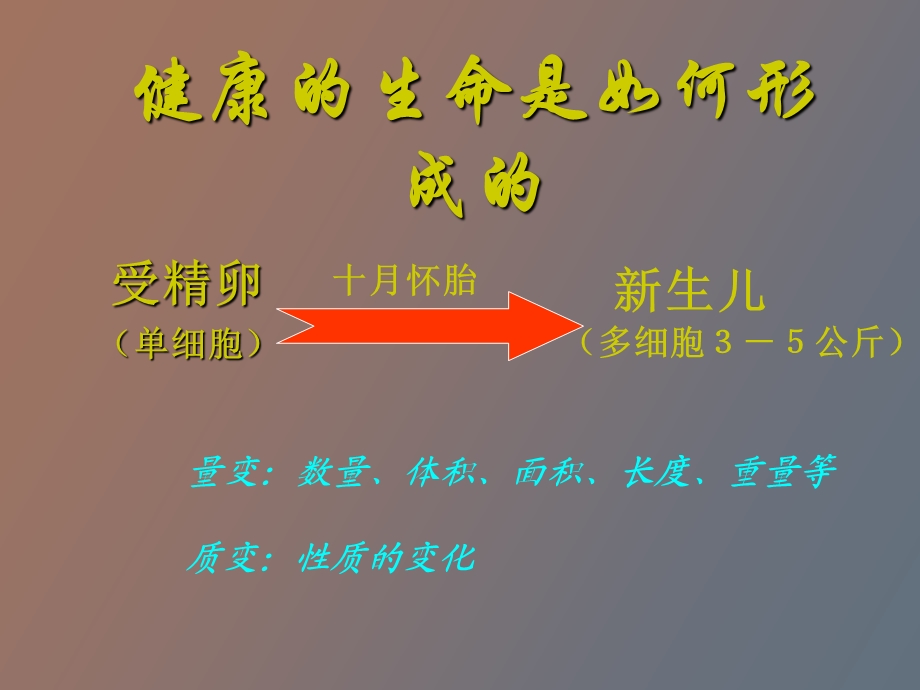 营养素、药物、疾病之间的关系.ppt_第2页