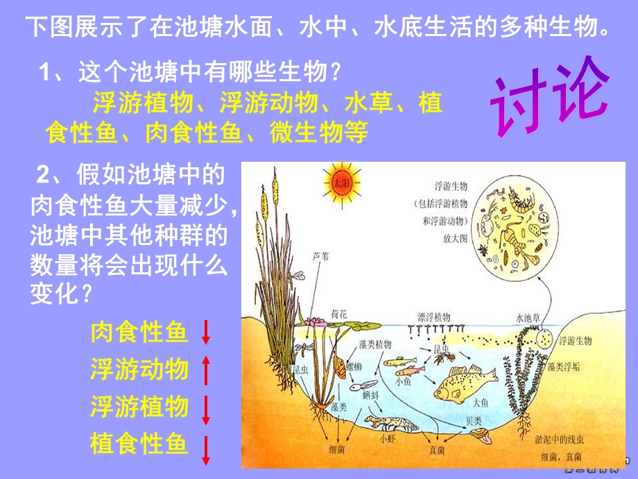 高二生物群落的结构.ppt_第2页