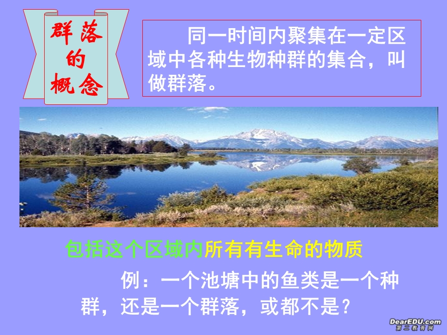 高二生物群落的结构.ppt_第3页