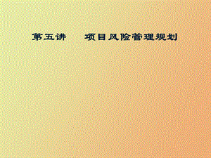 项目风险管理规划.ppt