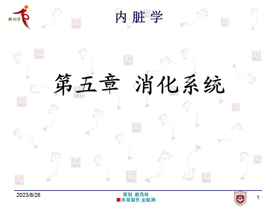 第五章 消化系.ppt_第1页