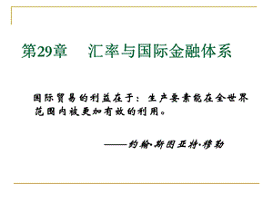 第29章汇率与国际金融体系萨缪尔逊经济学第十八版宏观经济学(浙江财经学院).ppt