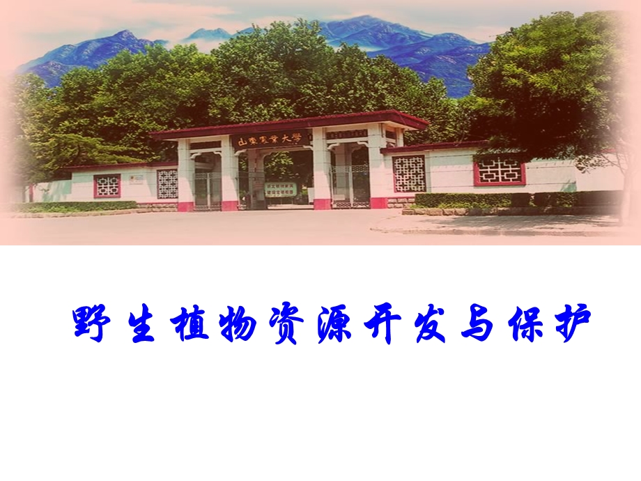 野生植物资源开发与保护.ppt_第1页