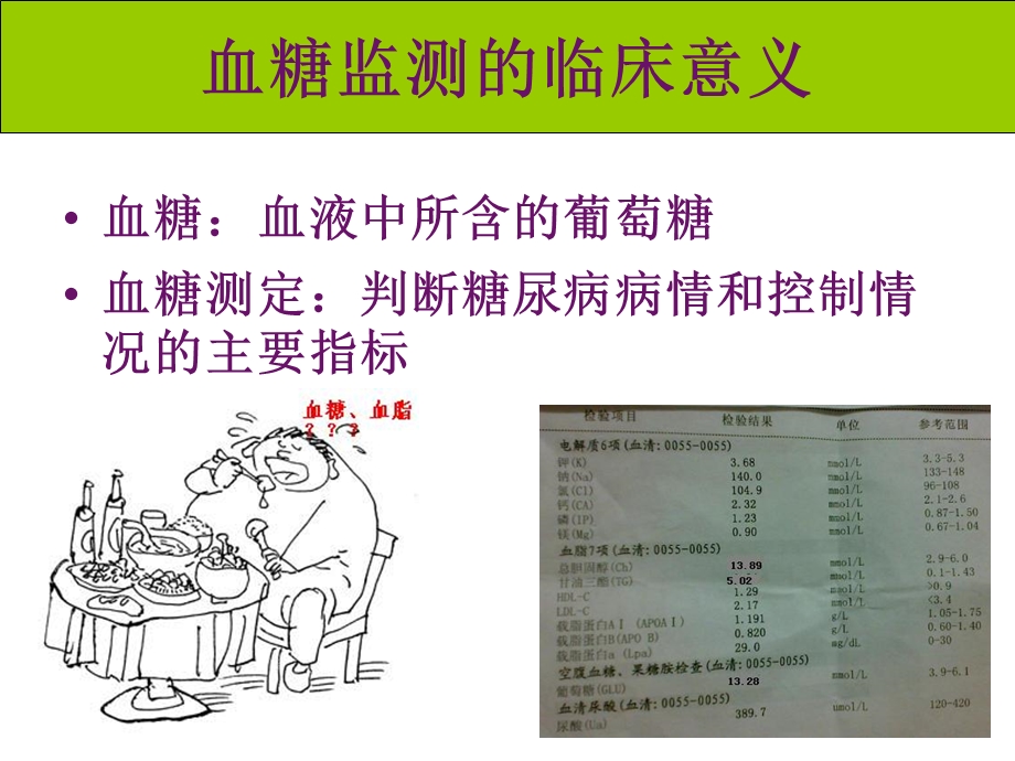 血糖监测仪的使用资料.ppt_第2页