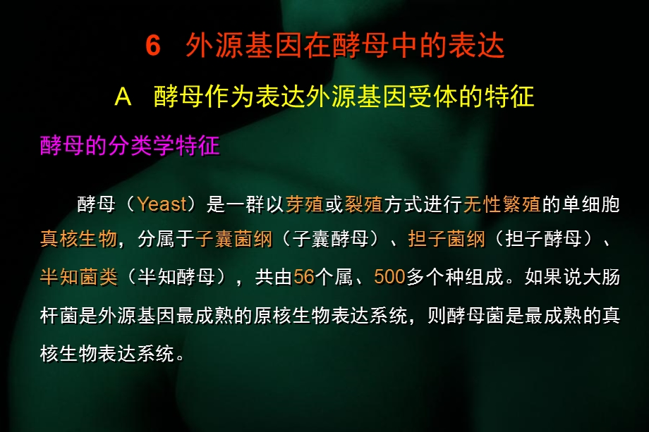 重组DNA技术与重组蛋白表达.ppt_第2页