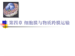 第四章 细胞膜与物质跨膜运输.ppt