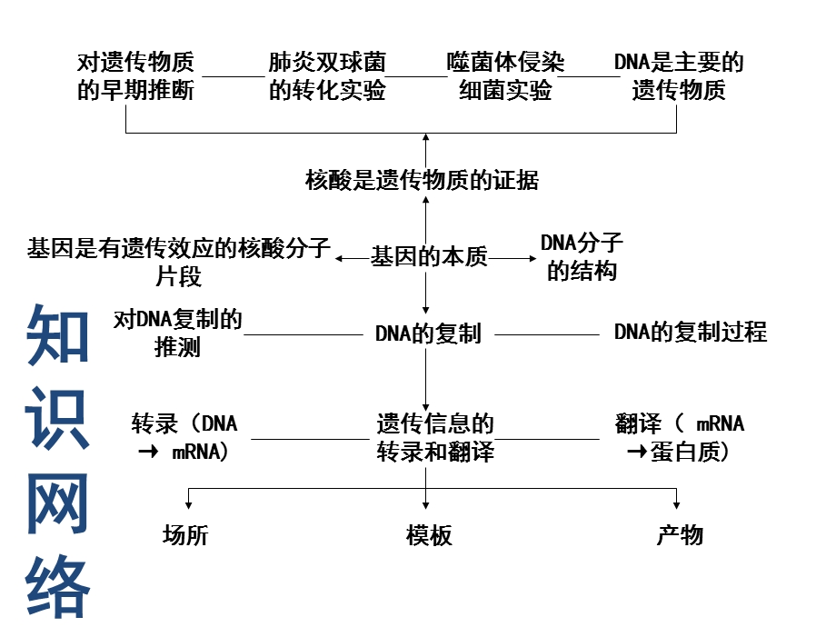 遗传的分子基础课件.ppt_第2页