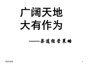 银行保险渠道经营策略.ppt