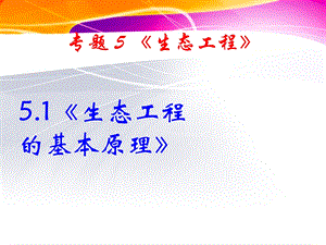 5.1生态工程的基本原理课件(新人教版选修3).ppt