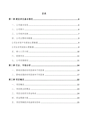 四川半导体专用设备项目可行性研究报告.docx