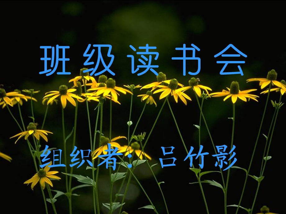 长头发狮子(课外阅读).ppt_第1页