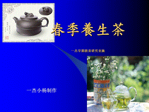 中医药膳养生概念.ppt