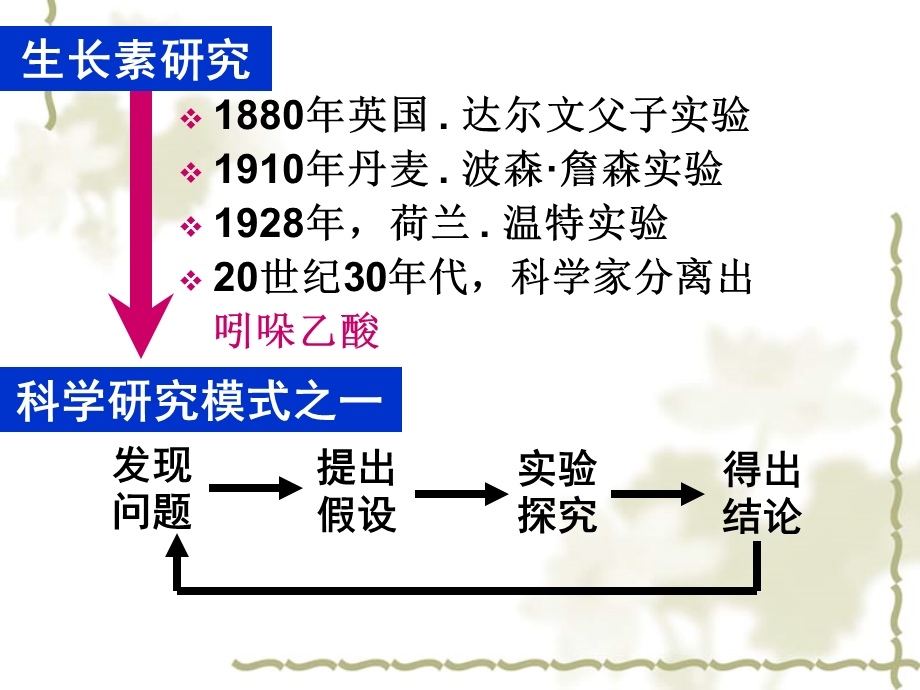 《高三生物复习资料》第23讲植物生命活动的调节.ppt_第3页