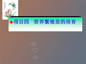 项目四营养繁殖苗的培育.ppt