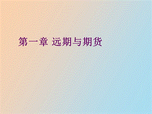 远期与期货市场.ppt