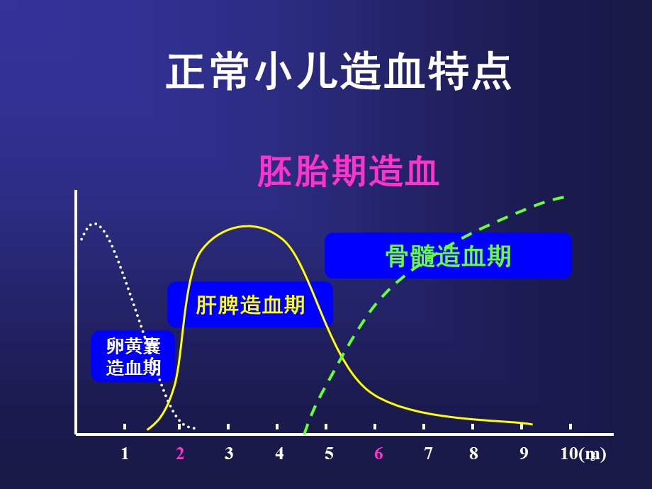 造血系统总论及营养性贫血.ppt_第3页