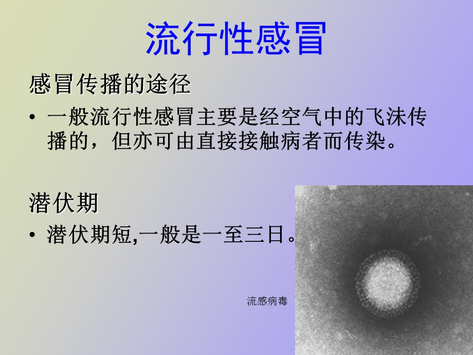 预防流感有办法.ppt_第3页