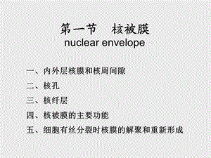 《分子细胞与组织教学课件》5.细胞核的结构与功能.ppt