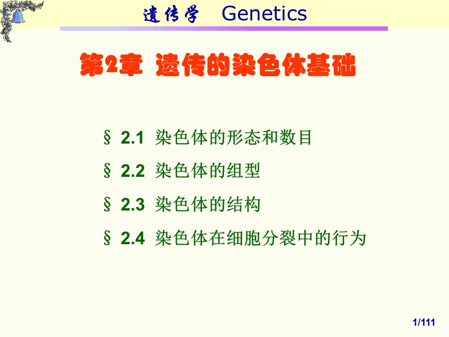 遗传的染色体基础.ppt_第1页