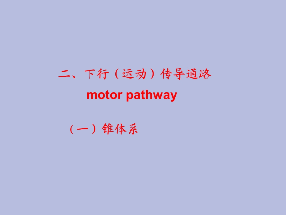 运动传导通路.ppt_第1页