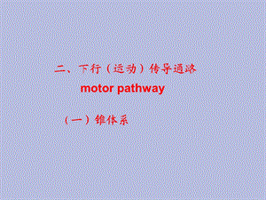 运动传导通路.ppt