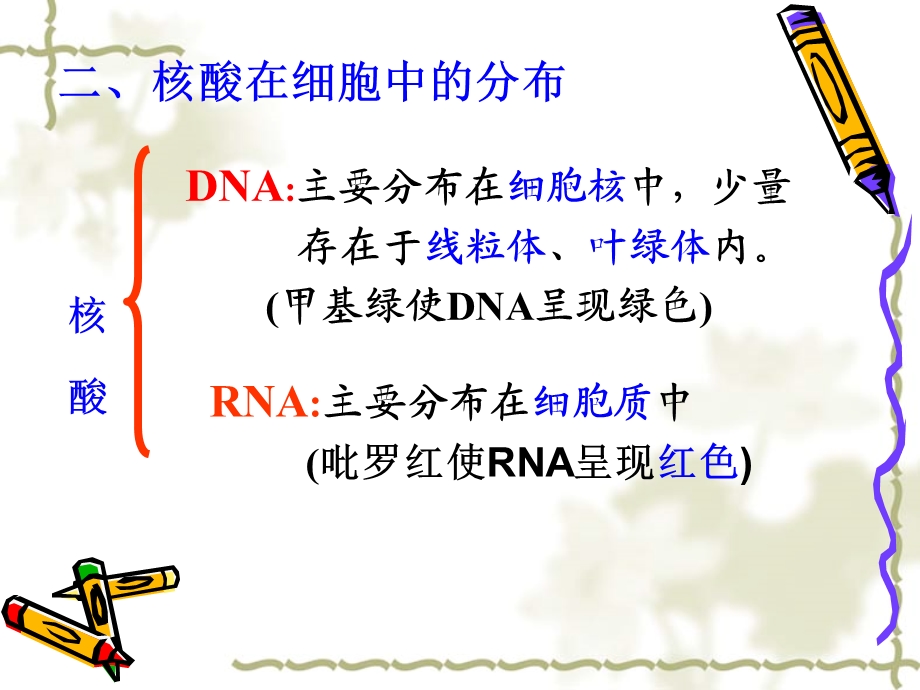 遗传信息的携带者.ppt_第3页