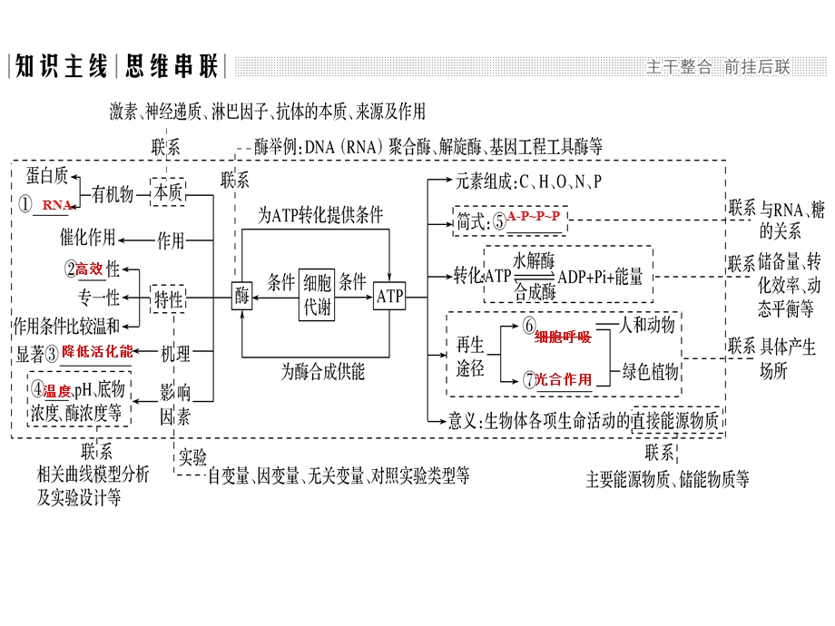 酶和ATP二复习.ppt_第3页